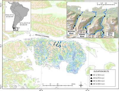 Wing reduction and body size variation along a steep elevation gradient: a case study with Magellanic sub-Antarctic mayflies and stoneflies